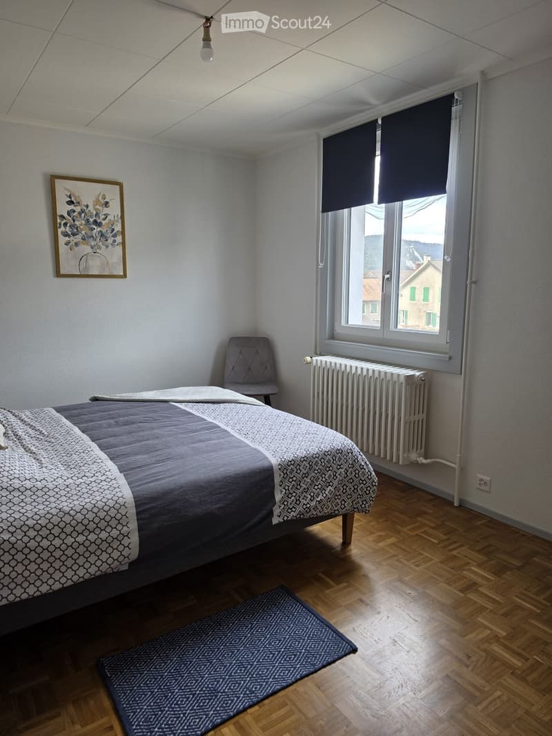 Magnifique appartement entièrement renové (4)
