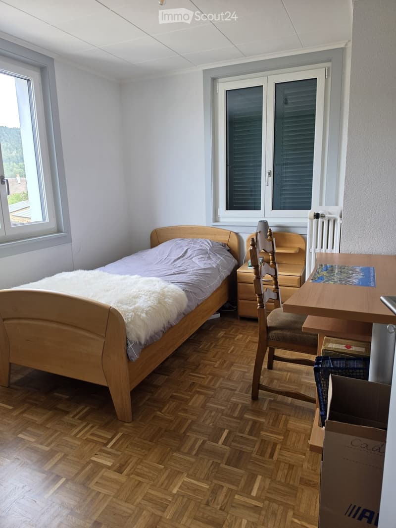 Magnifique appartement entièrement renové (5)