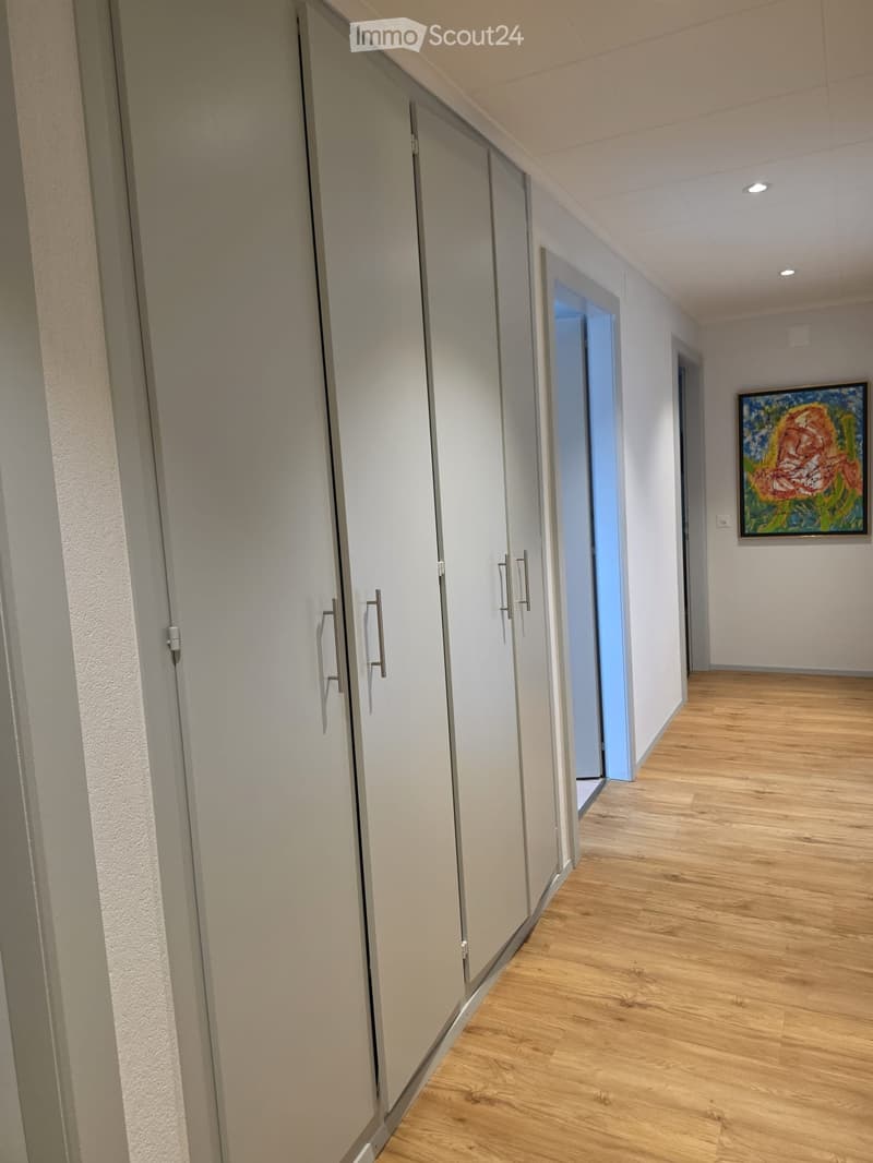 Magnifique appartement entièrement renové (2)