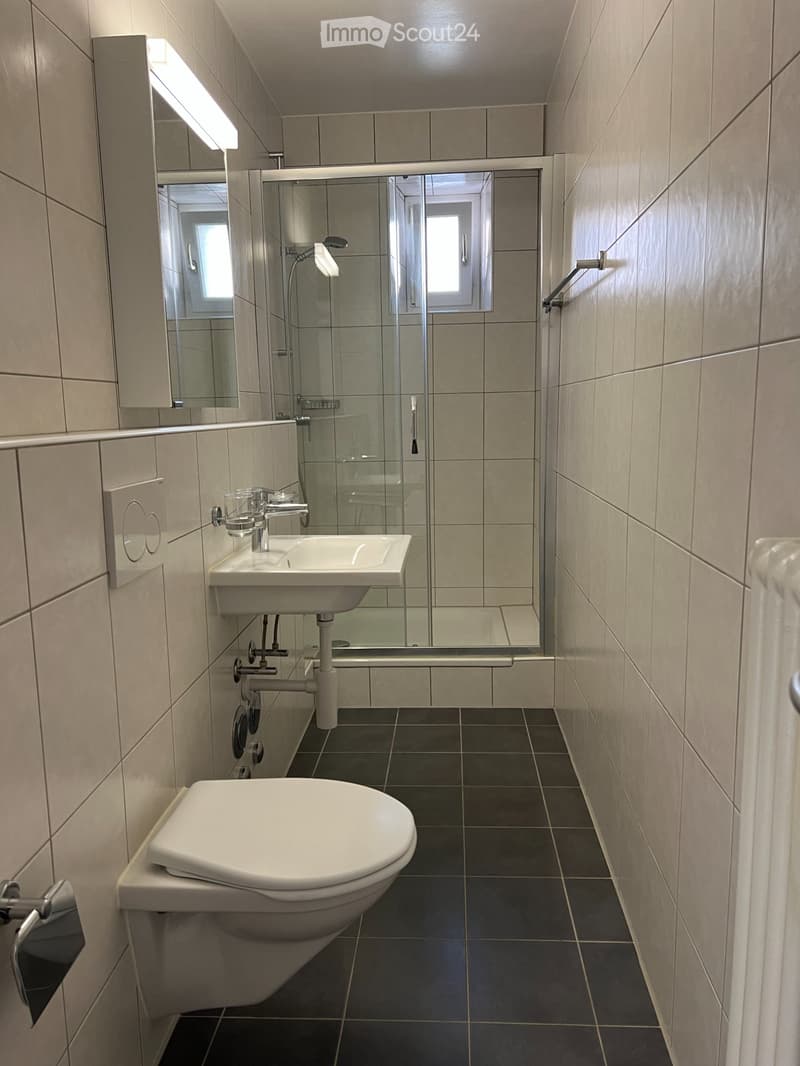 Appartement ensoleillé rénové 3 pièces (3)