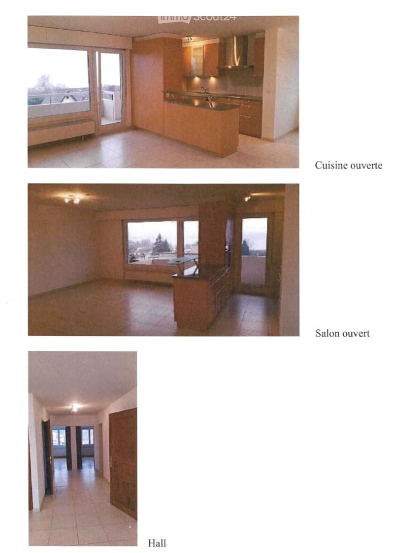 Disponible au 1/10: 3.5 pieces avec place de parc extérieure (1)