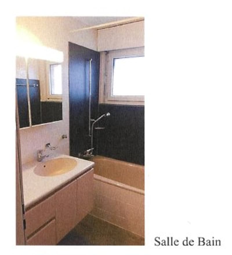 Disponible au 1/10: 3.5 pieces avec place de parc extérieure (3)