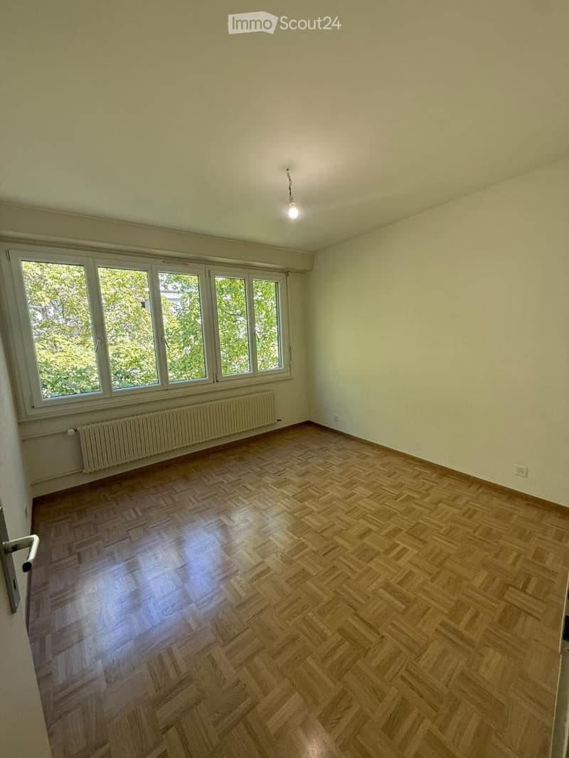 URGENT 3,5 pièces Saint-Jean (4)