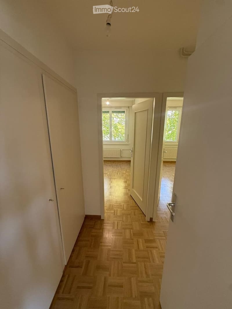URGENT 3,5 pièces Saint-Jean (2)