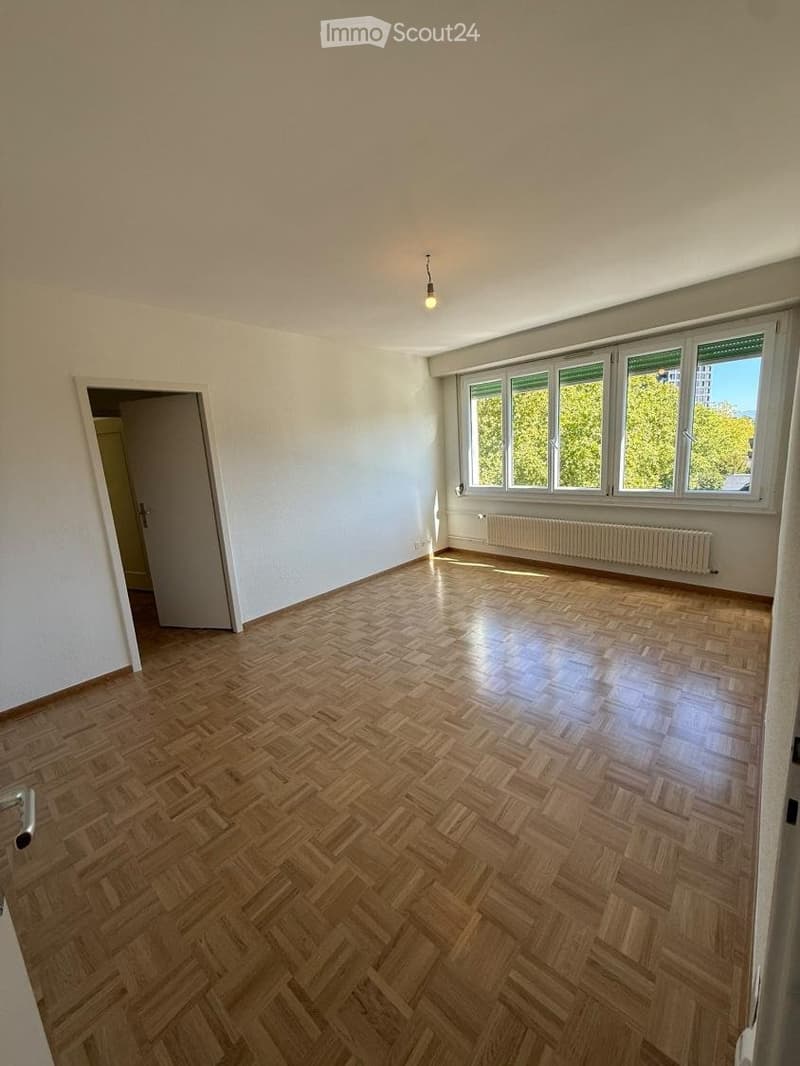 URGENT 3,5 pièces Saint-Jean (3)