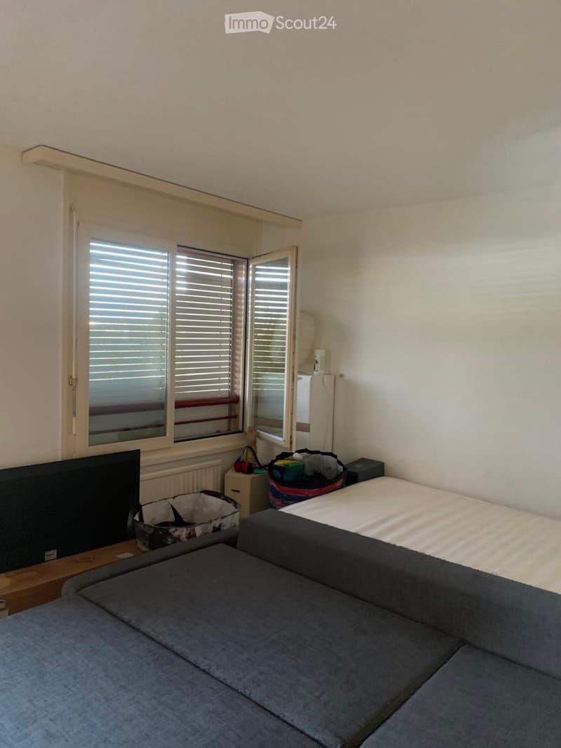 Appartement 1,5 pièces à louer à Ecublens (4)