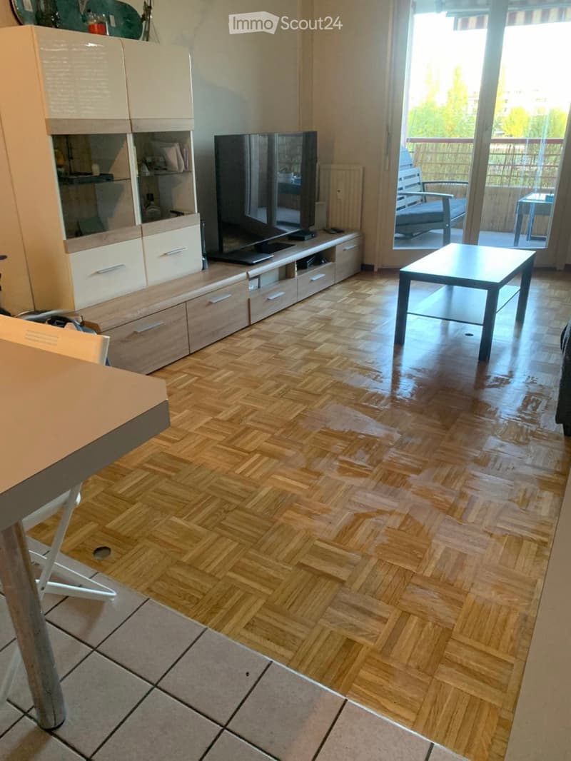 Appartement 1,5 pièces à louer à Ecublens (3)