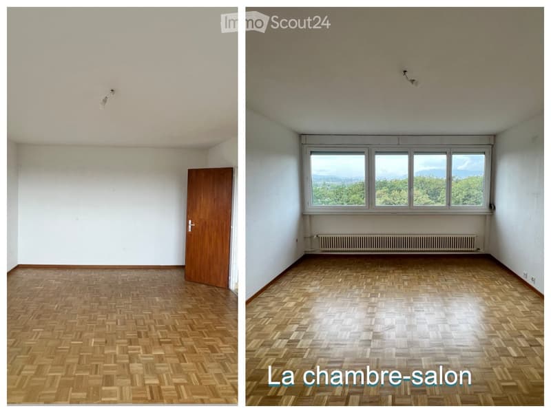 Studio meublé à Onex (1)