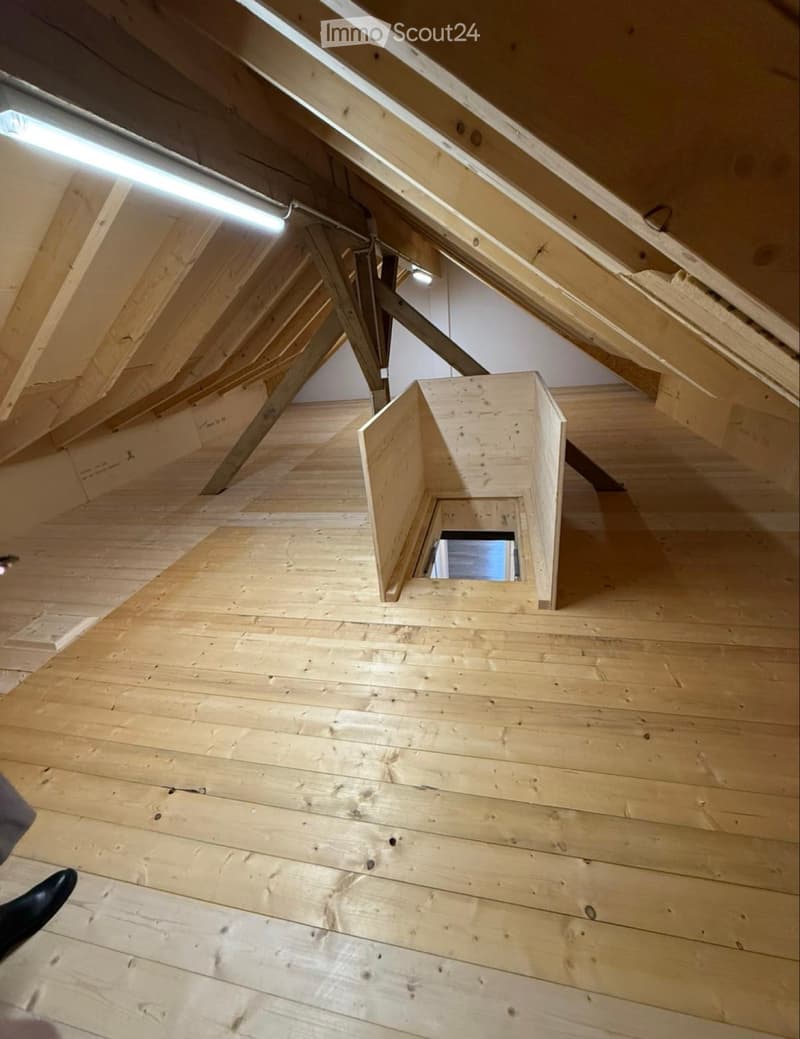 Wunderschöne moderne 3,5 Zi Wohning im Herzen von Selzach (3)