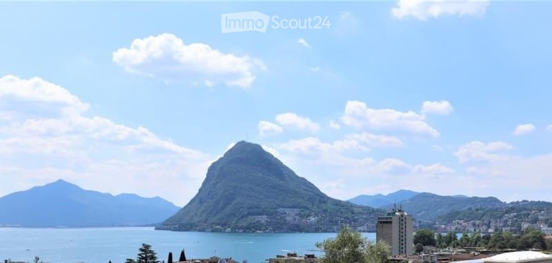 Appartamento Arredato Lugano (1)