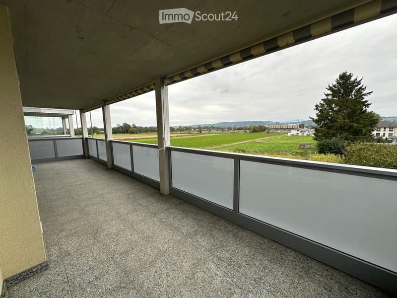 Appartement lumineux de 4.5 pièces dans un immeuble calme (5)