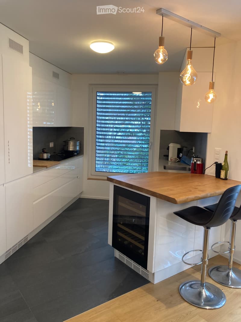 Appartement 4.5 pièces moderne et haut de gamme (3)