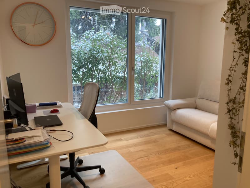 Appartement 4.5 pièces moderne et haut de gamme (8)