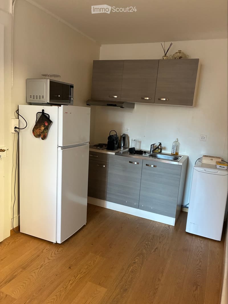 2 pièces meublé lumineux à louer pour 1 mois (3)