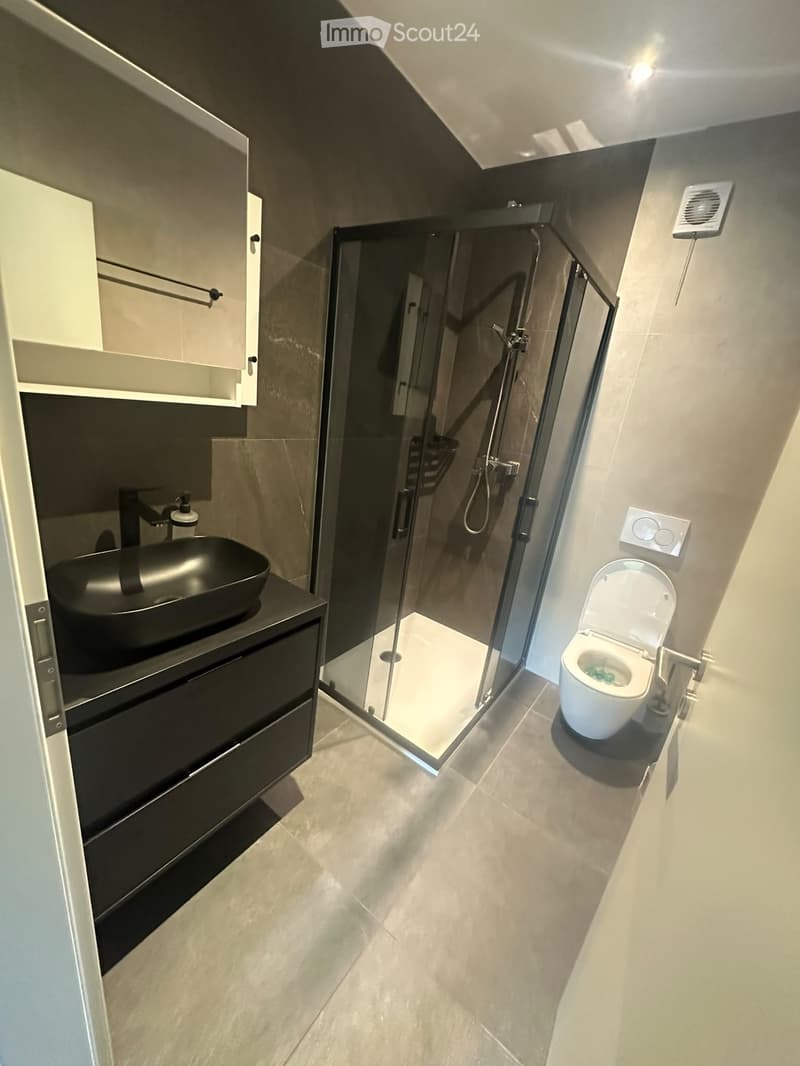 Location appartement 3.5 Chalais (5)
