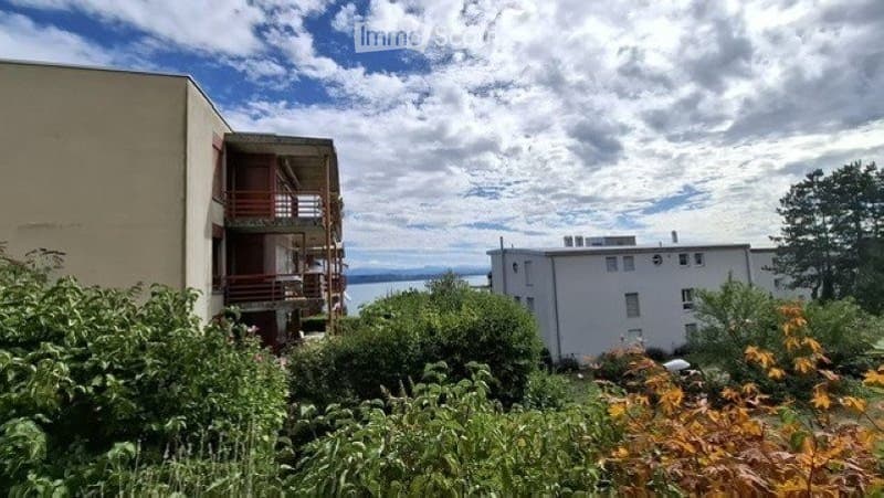 Rare à la Coudre | Spacieux 4.5 pièces avec jardin (4)