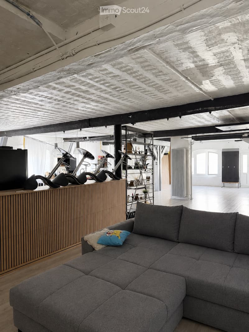 Loft à louer (5)