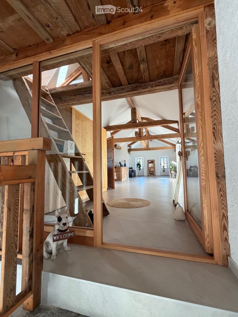 Loft (2)