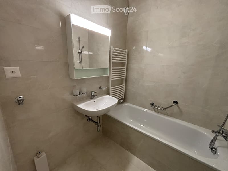Appartement de 4 pièces à Genève - Quartier Montchoisy (3)