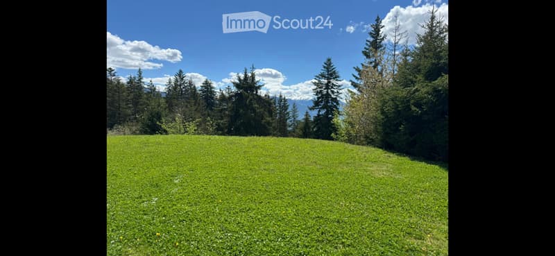 Studio à louer à l'année à Crans-Montana ; centre (5)
