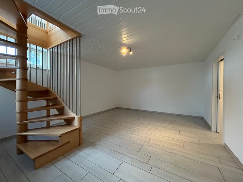 Appartement de 2 pièces sur deux niveaux (3)