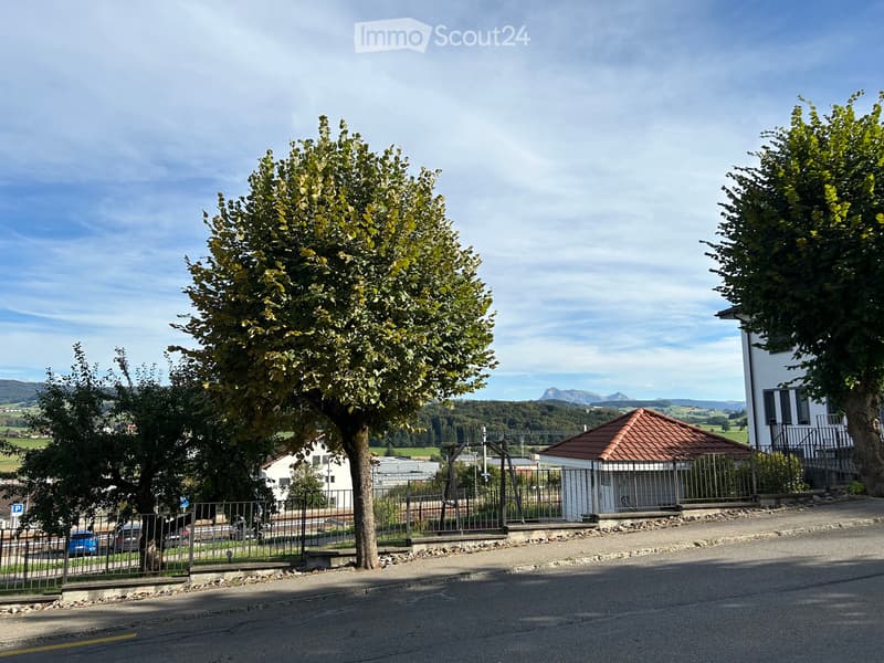 Appartement de 2 pièces sur deux niveaux (5)