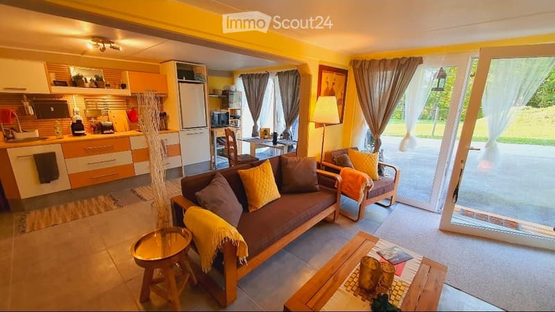 Grand studio 46 m2, moderne, lumineux, entièrement meublé (1)