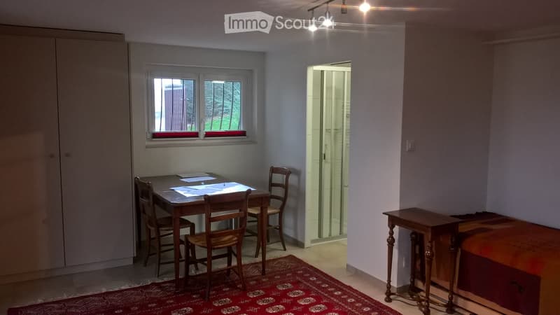 Chambre Privative Meublée, 1 personne, Petite Colocation (2)