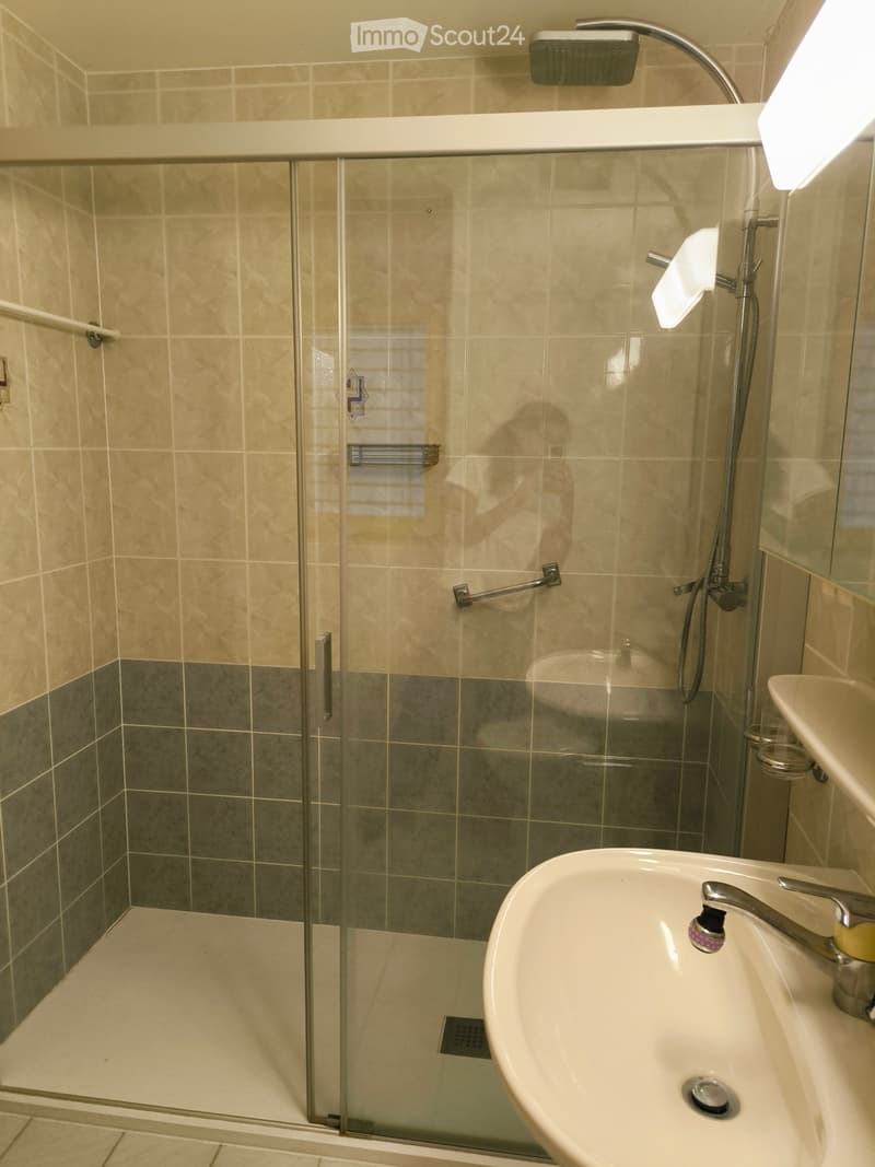 Grand appartement à louer à l'année à Arbaz (2)