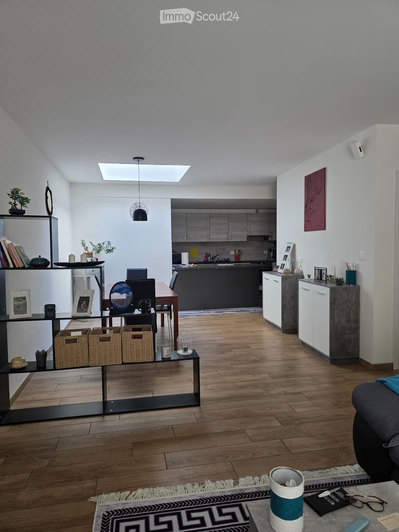 Bel appartement duplex (3)