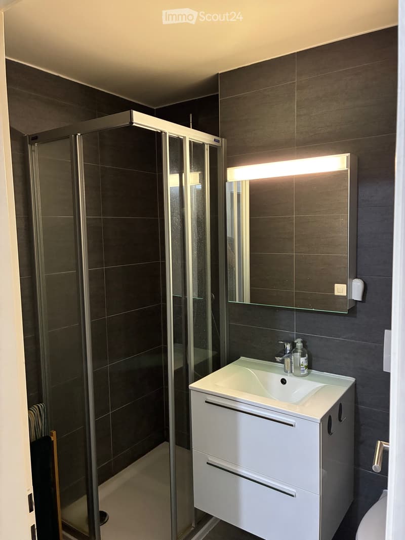Chaleureux appartement de 2 pièces situé à Aigle (5)