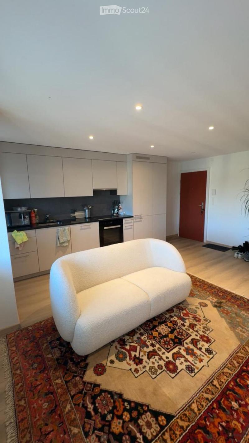 Loue appartement 2 pièces rénové (2)