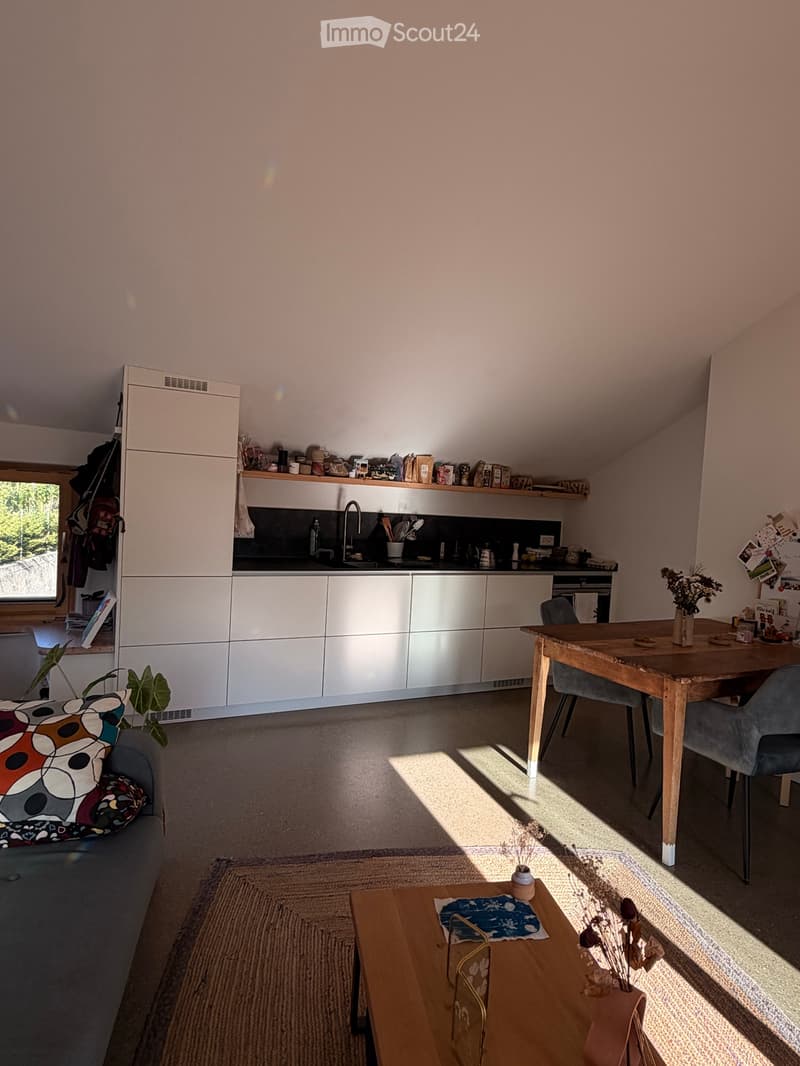 Appartement de 1 chambre et 1 salle de bain. (3)