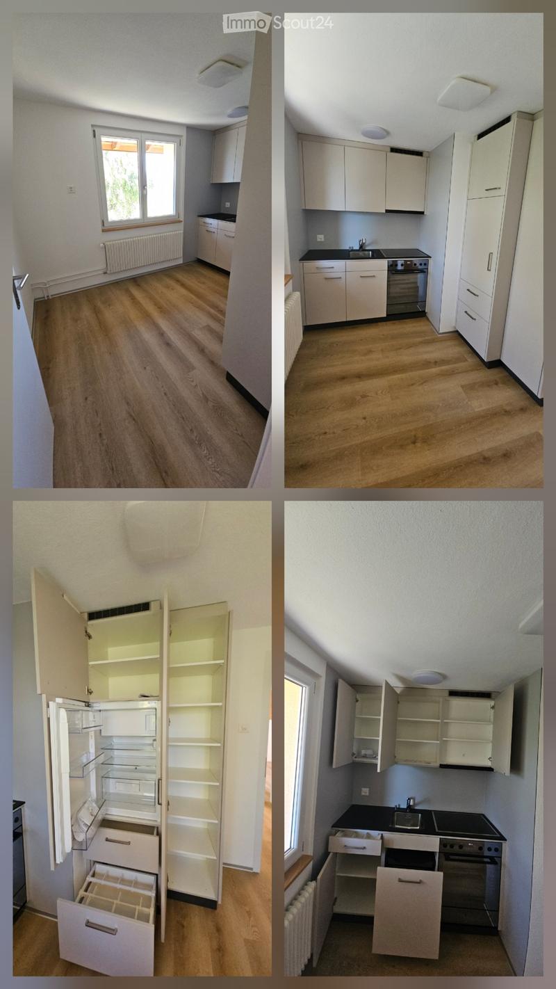 3 Zimmerwohnung mit brandneuen Böden, Küche und Badezimmer! (5)