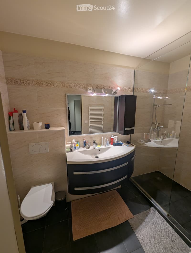 Location appartement Lausanne (4)