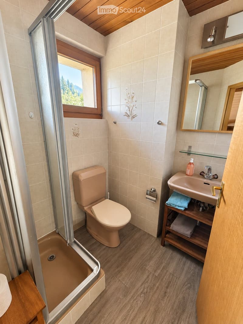 Studio en duplex - 40 m² à louer 1148 LIsle (3)