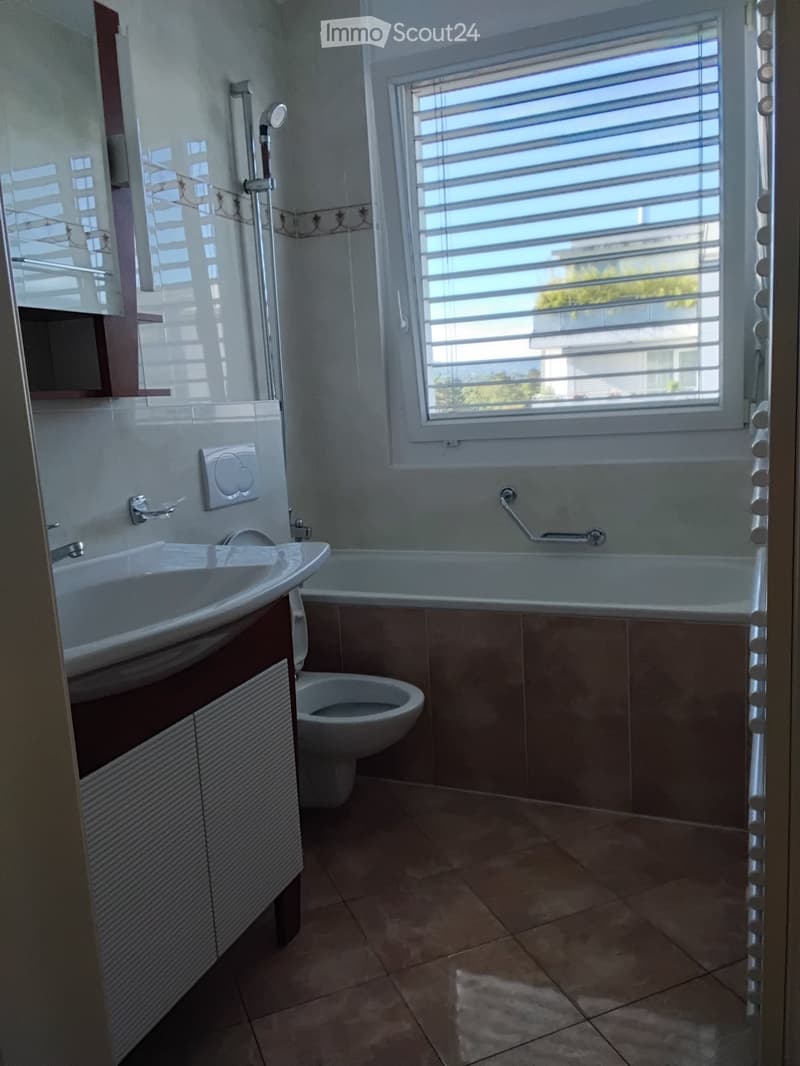 Appartement 4 pièces traversant avec balcons - Carouge (3)