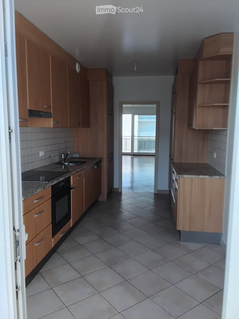 Appartement 4 pièces traversant avec balcons - Carouge (4)