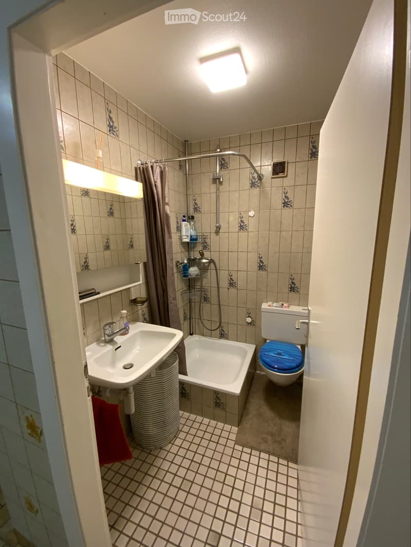 Appartement 2 pièce pour le 1 novembre (5)