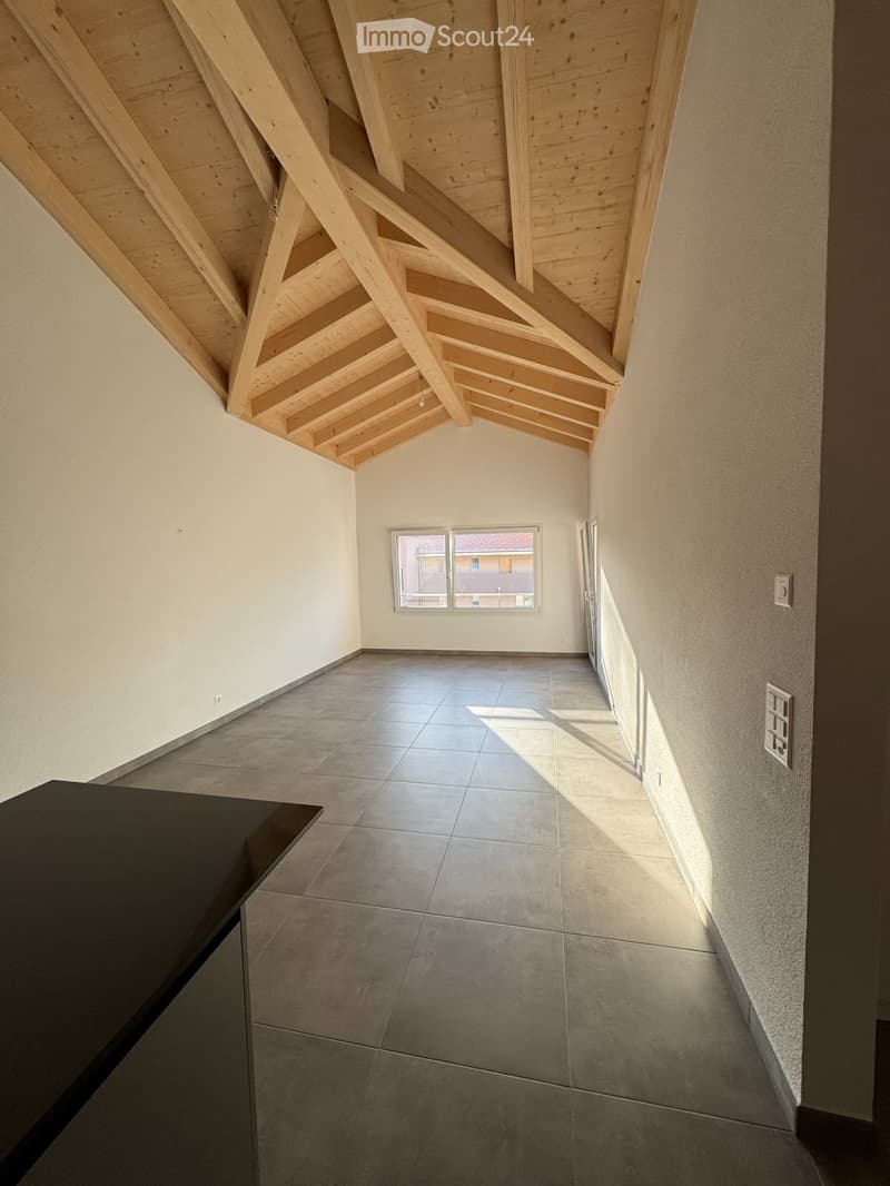 Magnifique appartement 3.5 neuf dans PPE à La Roche (5)