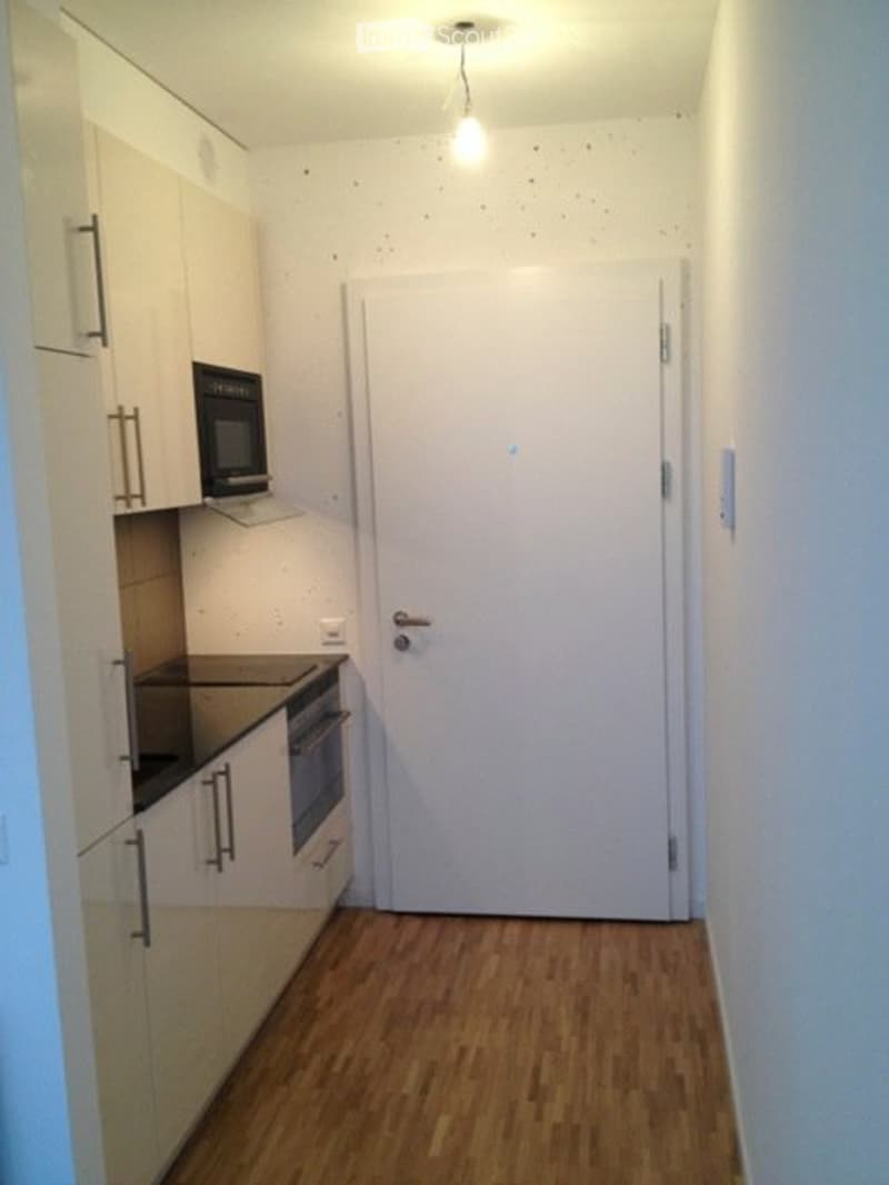 Studio à louer à Nyon - Studio for rent in Nyon (2)