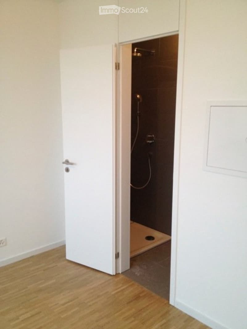 Studio à louer à Nyon - Studio for rent in Nyon (4)