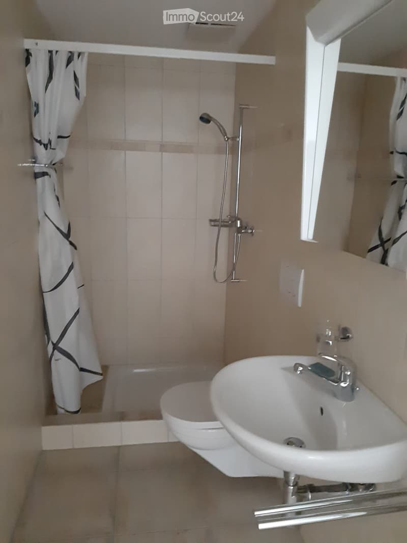 Schöne Einliegerwohnung in ruhigem Quartier (4)