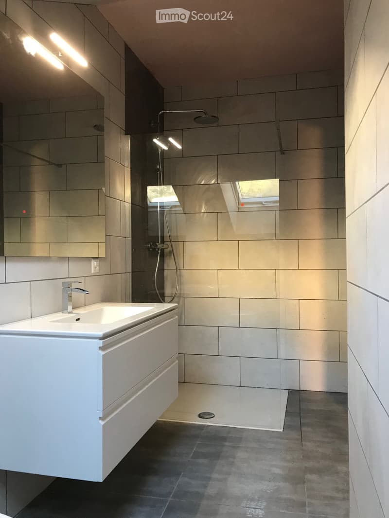 Bel appartement 5,5 pièces à la Chaux-de-Fonds (3)