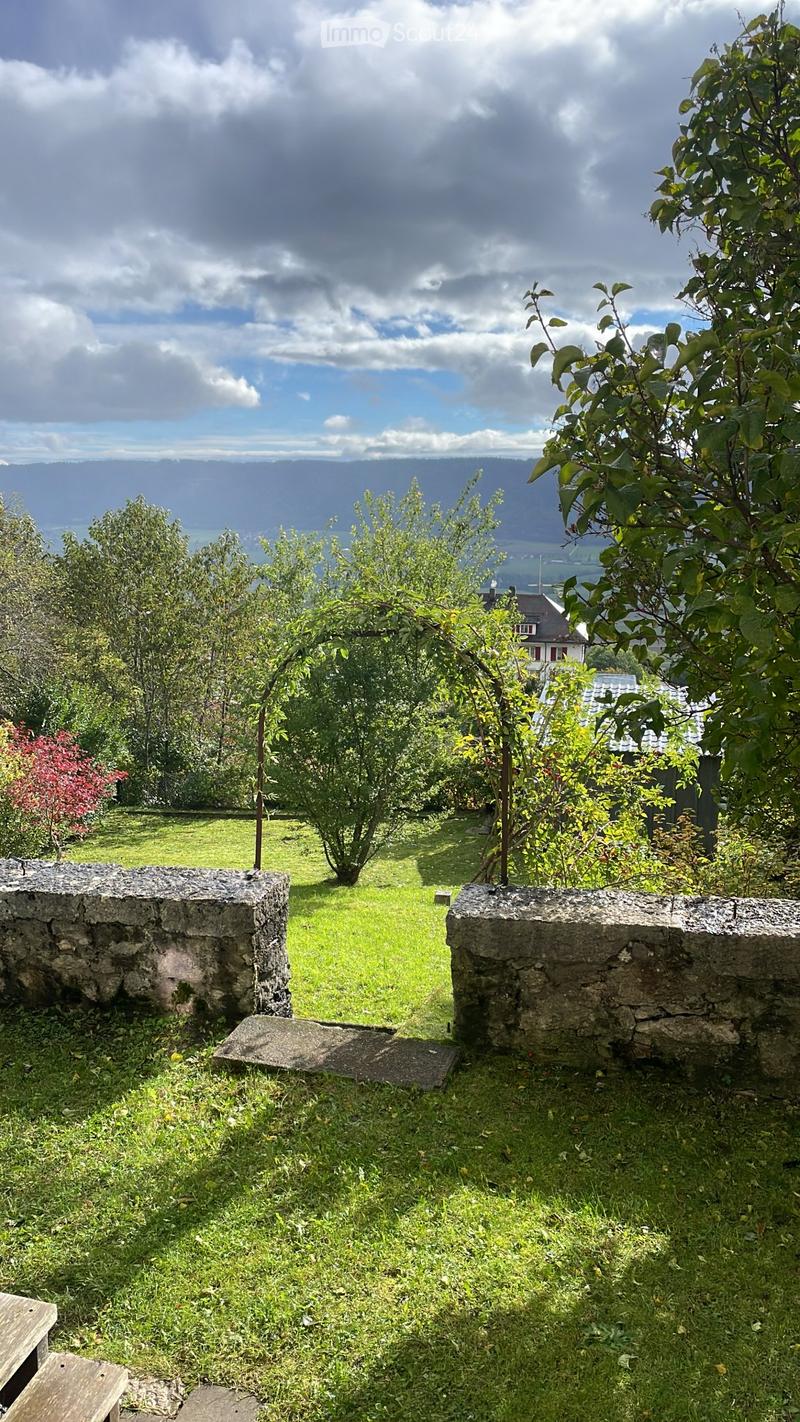 3 pièces avec jardin au-dessus du brouillard | 1'450 CHF (1)