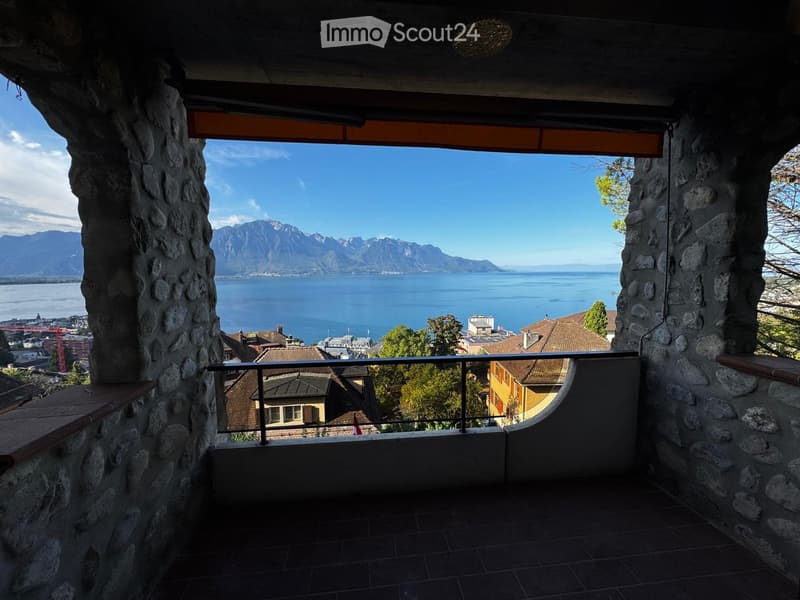 Magnifique appartement entièrement rénové (4)