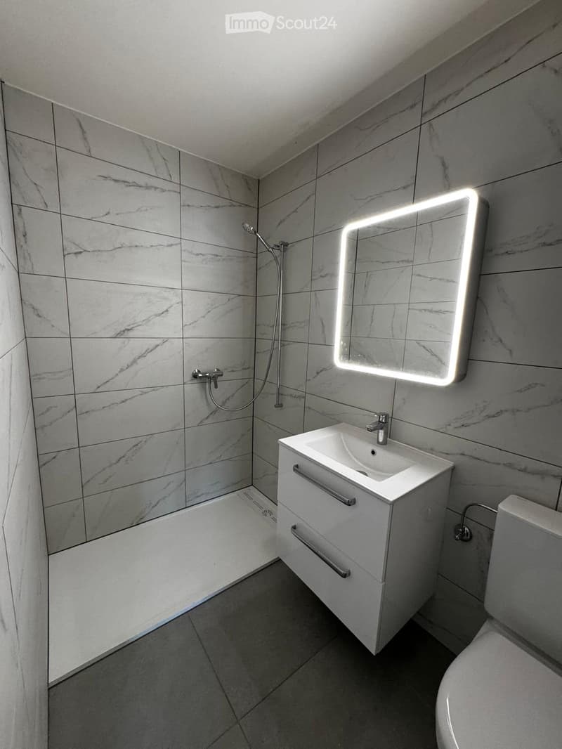 Magnifique appartement entièrement rénové (2)