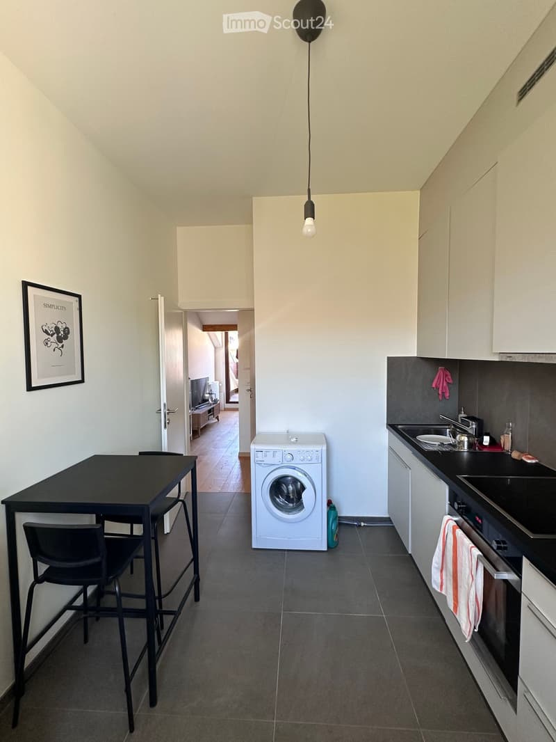 Reprise de bail - Appartement 3P traversant (4)