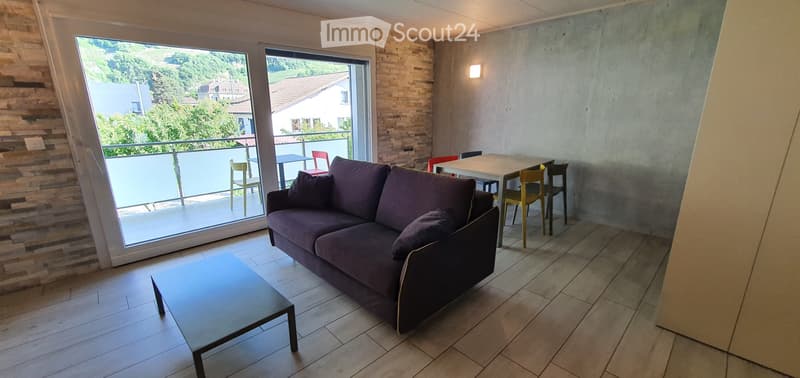 Saxon, Magnifique loft meublé de 60 m² à louer à Saxon (2)
