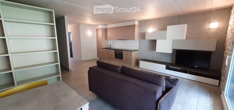 Saxon, Magnifique loft meublé de 60 m² à louer à Saxon (3)